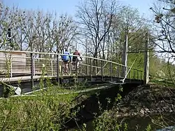 Hängesteg in Eriskirch