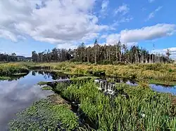 September 2024 Ziel erreicht!