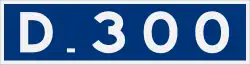 D300