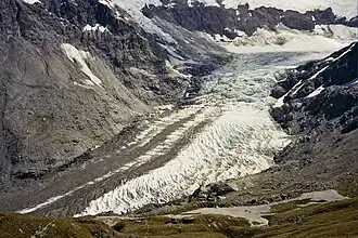 Dart Glacier (Quelle des Dart River)