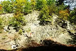 Granodiort-Steinbruch an der Mordgrundbrücke (Lausitzer Granodioritkomplex)