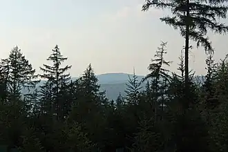 Blick vom Plattenweg im Kaufunger Wald bei Hann. Münden nach Nordwesten zum 9 km entfernten Gahrenberg im Reinhardswald