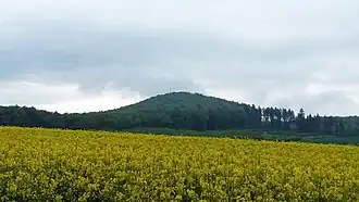 Blick von der K 217 nahe Wiershausen zum Staufenberg