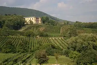 Spitzbergel im Hintergrund, im Vordergrund die Villa Ludwigshöhe