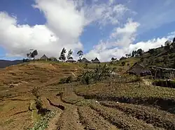 Hakmatek Kooperative in Tartehi