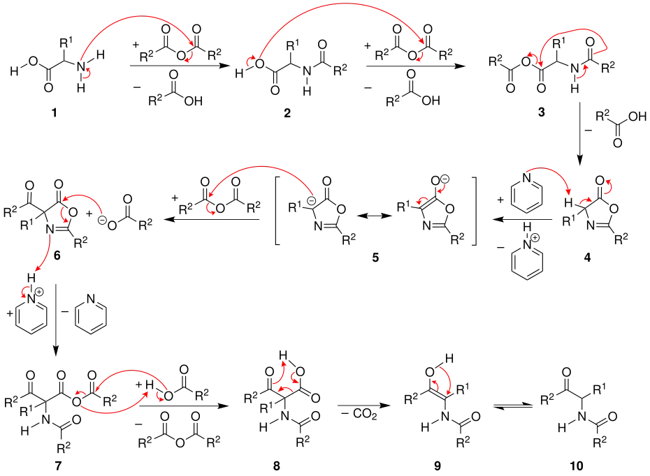 Mechanismus der Dakin-West-Reaktion