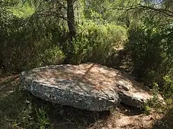 Verlagerter Stein von Dolmen 4