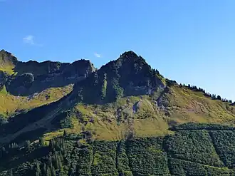 Blick von der Alpe Oberdamüls auf das Damülser Horn