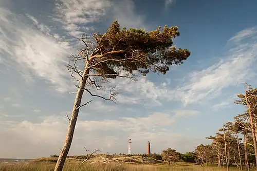 Leuchtturm und Marine-Funkturm
