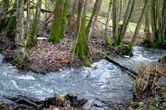 Das Hermannswasser im Hermannswinkel in Rückers (Flieden)