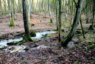 Das Hermannswasser im Hermannswinkel in Rückers (Flieden)2