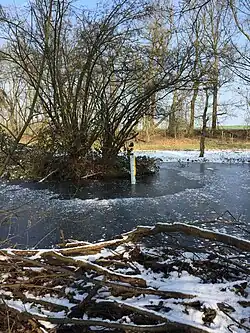 Die „Große Laache“ im Winter.