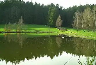 Der Tannschorrenweiher auf den Haslach-Platten zwischen Haslach und Tannheim