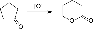 Baeyer-Villiger-Oxidation von Cyclopentanon zu delta-Valerolacton