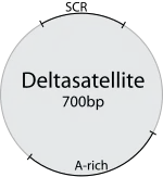 …und von Deltasatellite