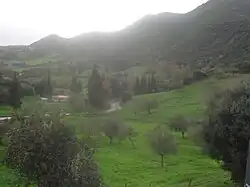 Demesticha im Gemeindebezirk Leondio