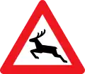 A26: Wildwechsel
