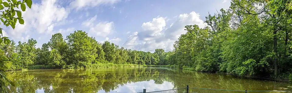 Östlicher Senftenhofsee, der in historischer Zeit bereits als Oberer See bestand