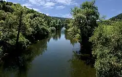 Der Neckar oberhalb von Horb