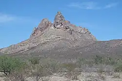 Landschaft im Municipio Jiménez