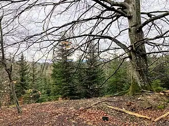 Deutenberg in Richtung Süden