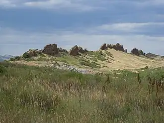 Überblick über das Gebiet