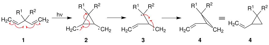 Mechanismus der Di-π-Methan-Umlagerung