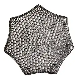 Die Kieselalge Triceratium favus var. septangulatum besitzt eine im Querschnitt siebeneckige Frustel.