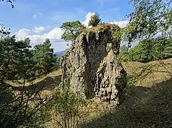 Ein Relikt des vergangenen Steinbruchbetriebs in der Blauen Kuppe.