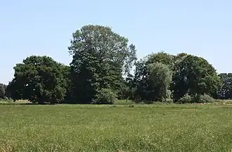 Burgstelle der Schwakenburg