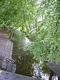 Die Tarpenbek, Grenzbach zwischen Hamburg und Norderstedt