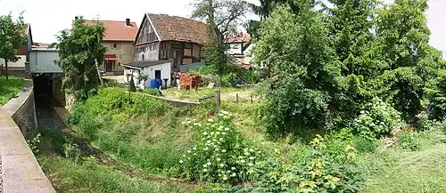 Die Wilde Leina in Schönau v.d.W.