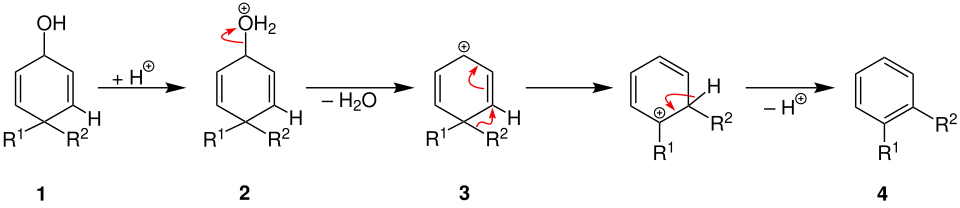 Dienol-Benzol-Umlagerung Mechanismus
