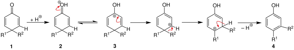 Dienon-Phenol-Umlagerung Mechanismus