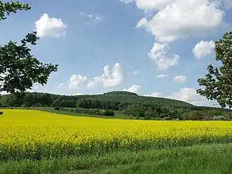Dietrichsberg bei Wölferbütt