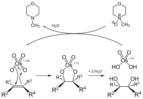 Reaktion eines Alkens mit Osmiumtetroxid