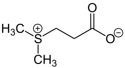 Struktur von Dimethylsulfoniopropionat