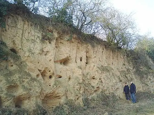 Wörschberger Hohl am Südosthang des Hügels