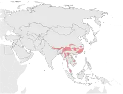 Vorkommen nach Daten der IUCN 2008[8]