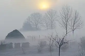 Typischer Nebel über den Sumpfflächen