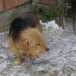 Kopf und Blick abwenden