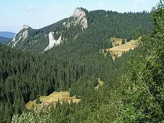 Aus dem Tal Dolina Miętusia gesehen