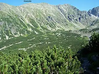 Dolina Pańszczyca, Polen