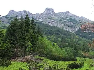 Blick vom Tal Dolina Tomanowa