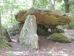 Dolmen Pierre couverte von Bué