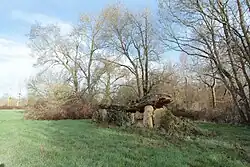 Dolmen Grosse Pierre