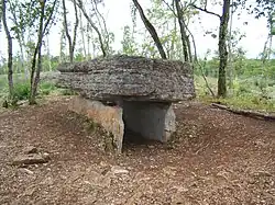 Dolmen d'Agranel