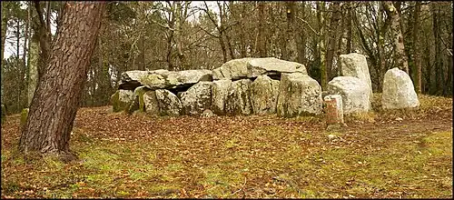 Mané Groh auch Mané croch