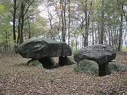 Großsteingrab Apeldorn