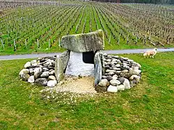 Der rekonstruierte und gegenüber der ursprünglichen Position leicht verschobene Dolmen von Praz Berthoud